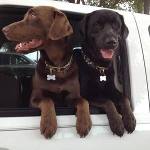 Meet your Posher, Keith